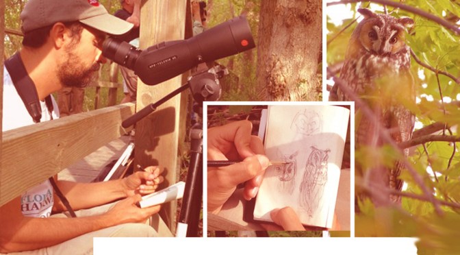 Sketching through a Scope: Basics