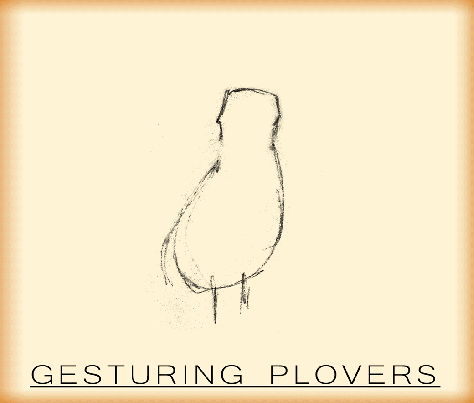 Plover-Gestures-GALVEZ